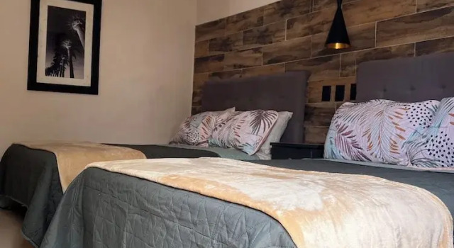Black Tree Hotel Boutique, Book Boutique Hotel Mazatlán Sinaloa, nær Plazuela Machado