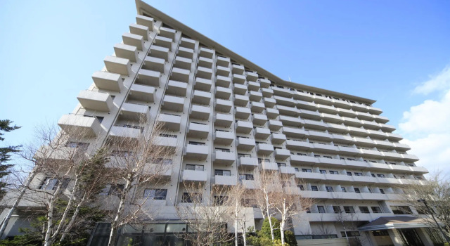 Номер Standard Hotel Regina Kawaguchiko