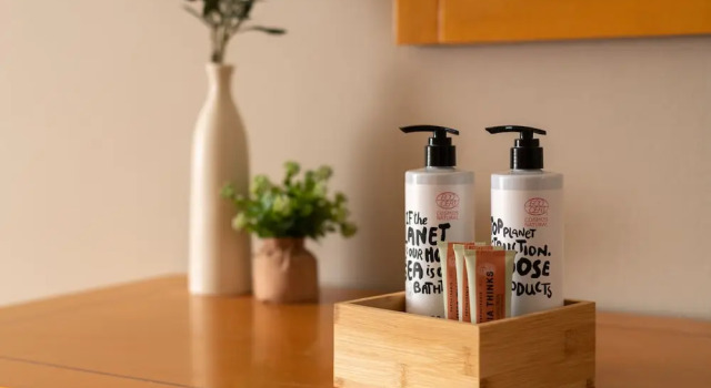 Студия Premier GOJI Vegan Hotel