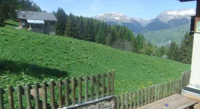 Шале Chalet les Gentianes