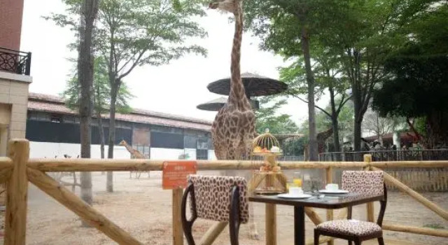 Xiamen Lingling Giraffe Manor Hotel