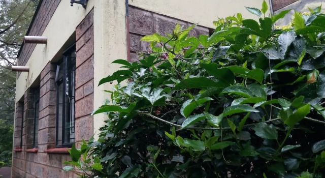 Milimani Backpackers, Varaa Hostelli Karen Nairobi