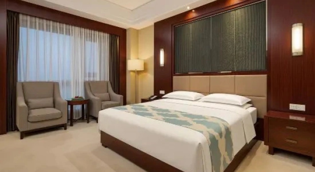Люкс Deluxe Yu Lin Petroleum Hotel