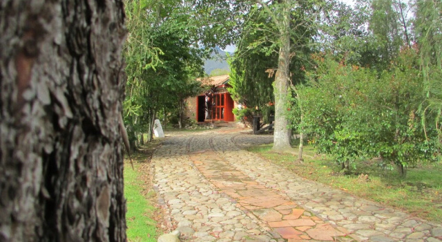 Номер Superior La Alameda Hotel Campestre