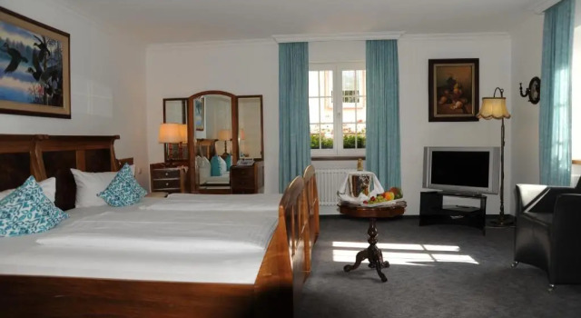Двухместный номер Comfort Hotel Adler - Weil am Rhein