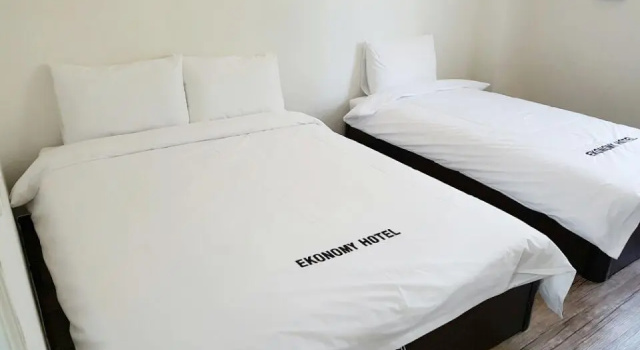 Двухместный номер Standard Ekonomy Hotel