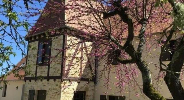 Le Domaine du Terroir à 5 minutes des Grottes de Lascaux, Prenota Hotel Hotel a Aquitania con piscina, Piscina