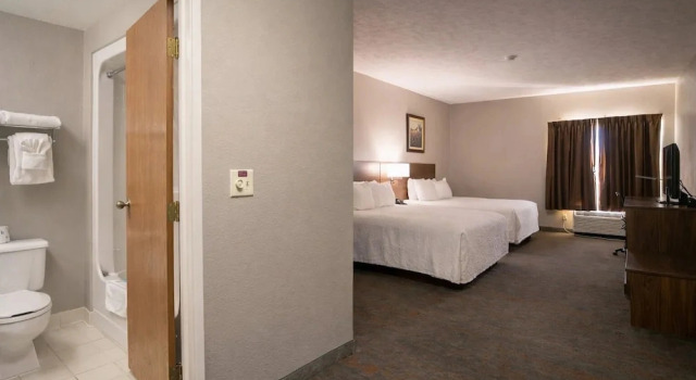 Двухместный семейный люкс Branson Towers Hotel