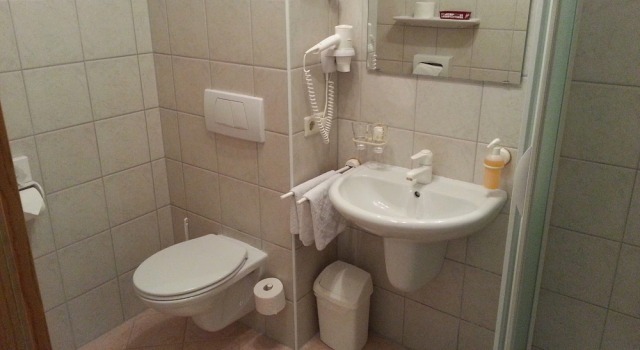 Одноместный номер Standard Vitalhotel Kaiserhof