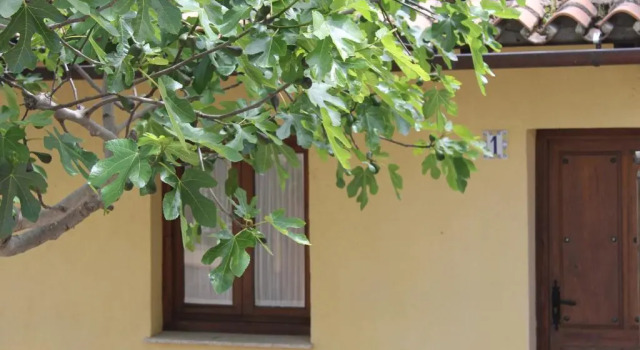 Albergue Turistico La Higuera, Book Hotel Billige hoteller i Caceres Province