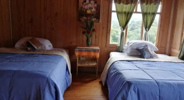 Семейный люкс Mindo GlamBird Glamping & Lodge