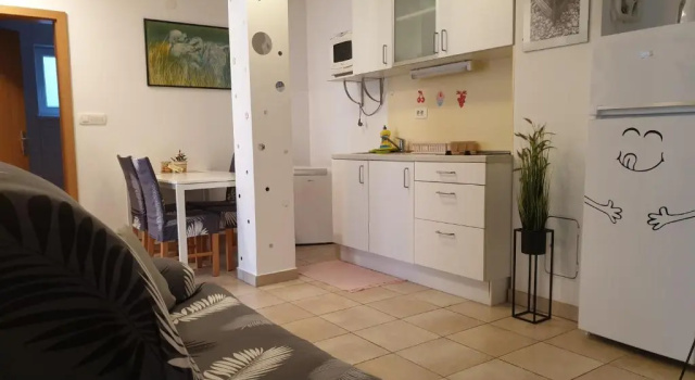 Апартаменты Apartment EMMA Ljubljana
