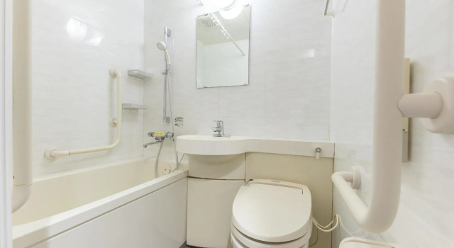 Одноместный номер Standard Ban Hotel Tsukiji Ginza