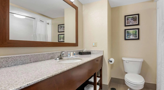 Двухместный люкс Comfort Inn & Suites Heath - Newark South