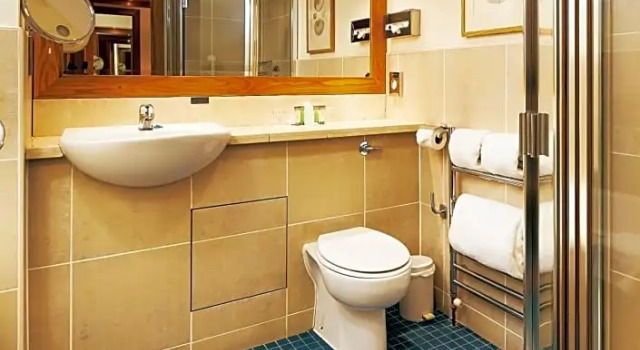 Номер Standard Ballymascanlon Hotel and Golf Resort