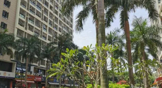 Allston Light Hotel (Xiamen Gaoqi Airport & Wuyuan Bay), Book Hotel Xiamen Fujian