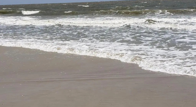 Коттедж Hilton Head Island Beach and Tennis Resort