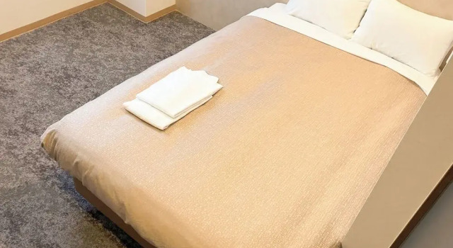 Номер Standard HOTEL LiVEMAX Tendo