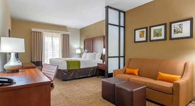 Люкс c 1 комнатой Comfort Inn & Suites Griffin North
