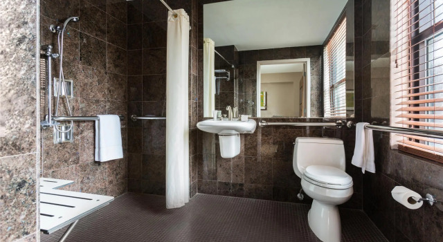 Номер Mobility Accessible Hearing Accessible Deluxe The Sam Houston, Tapestry Collection by Hilton