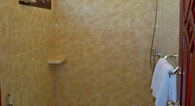 Двухместный номер Superior Banyualit Spa n Resort Lovina