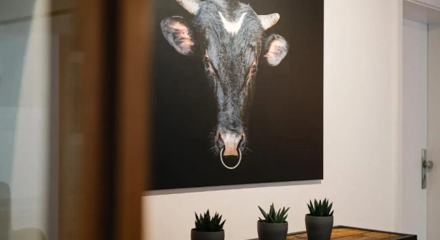 Апартаменты Moderne 2 Zi.-FeWo BlackForest Art Nähe Freiburg