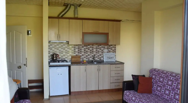 Апартаменты Classic c 1 комнатой с балконом Aydin Apart Pansiyon