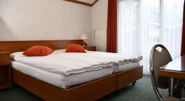 Двухместный номер Superior Hotel Elite