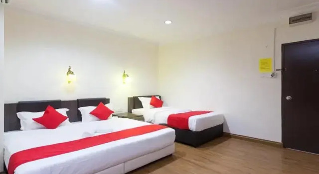 Люкс Standard T P Hotel