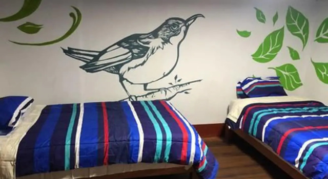 Déjà Vu Backpackers