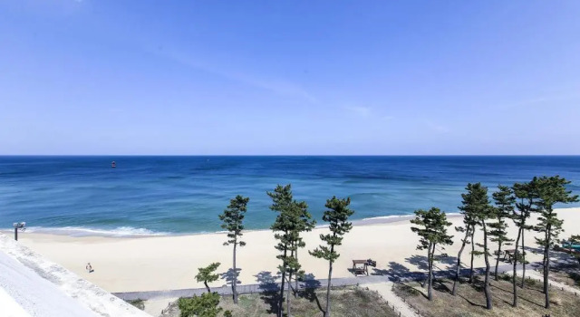 Трёхместный семейный номер Standard с видом на море Gyeongpo Soo Hotel