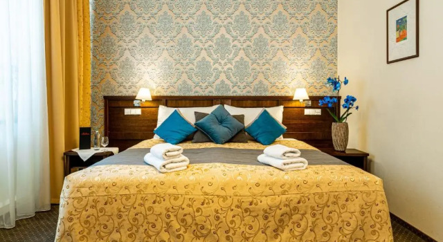 Номер Standard Hotel Baltaci Atrium