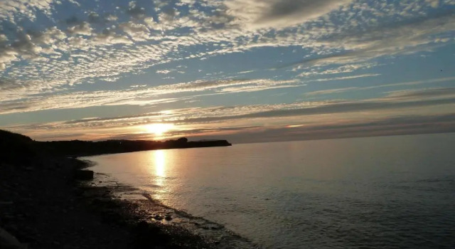 Court Farm Holiday Bungalows Ltd, Reserva ahora Agroturismo Williton 