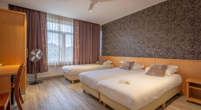 Трёхместный номер Standard Boutique Hotel Milano Rotterdam-Centre