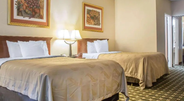 Двухместный номер Standard Quality Inn & Suites Palm Island Indoor Waterpark