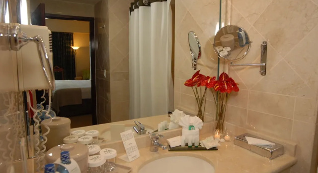 Двухместный номер Standard Holiday Inn Convention Center by IHG
