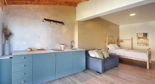 Студия Deluxe Apartments Forum