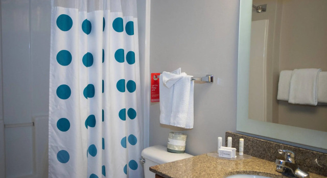 Двухместный люкс c 1 комнатой Towneplace Suites By Marriott Denver Southwest
