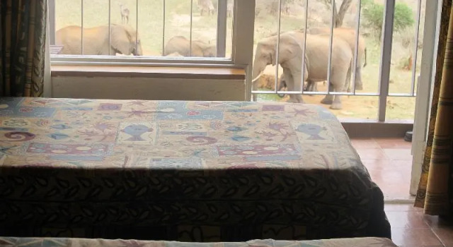 Номер Standard Ngulia Safari Lodge