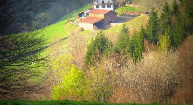 Номер Deluxe CASA RURAL Urruska