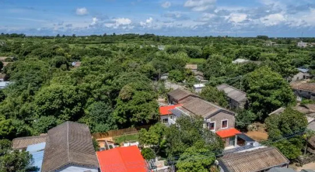 Кровать в общем номере Weizhou Island Lingjing Yunshan Homestay (Shell Beach)