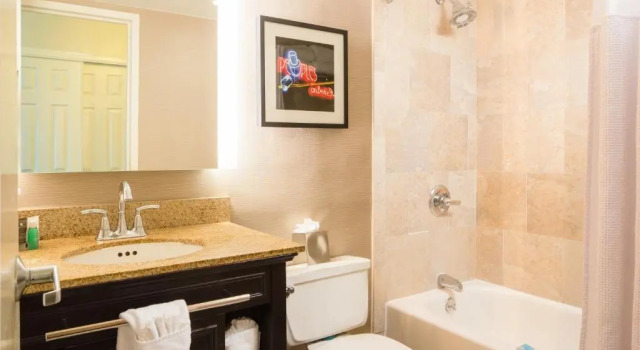 Двухместный номер Deluxe Crowne Plaza Memphis Downtown by IHG