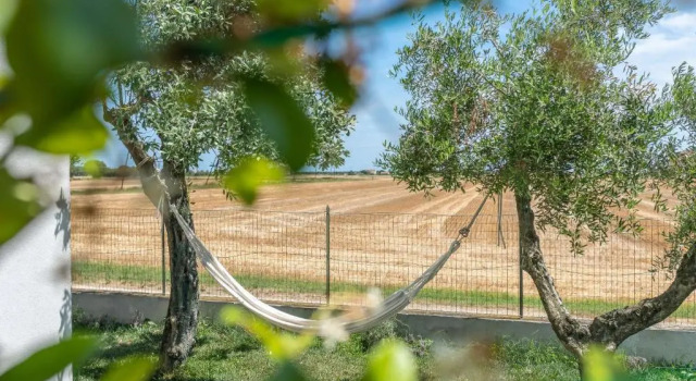 Номер Standard OrtoPì Country Canapa House
