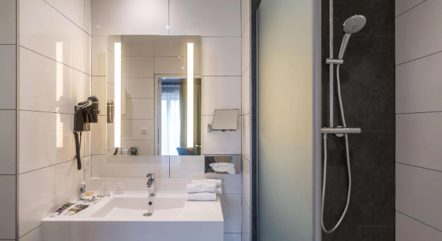 Двухместный номер Classic Mercure Bords de Loire Saumur