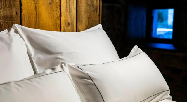 Двухместный номер Standard Les Pardines 1819 Mountain suites & SPA