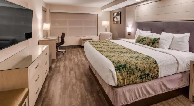 Номер Standard Отель City Express by Marriott Pooler Savannah Airport