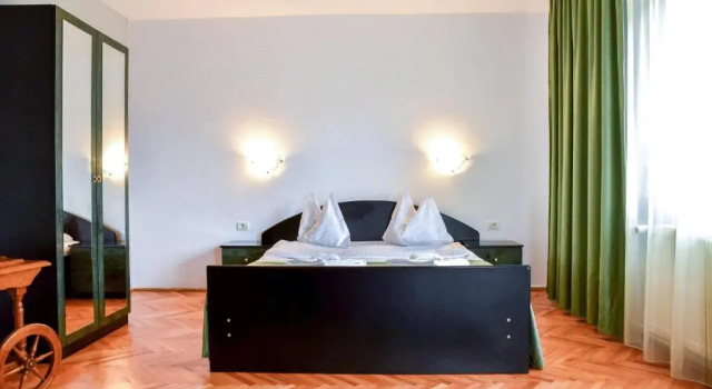Номер Standard Pensiunea Vila Silva I