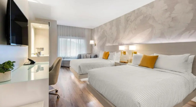 Четырёхместный номер Standard Cambria Hotel Calabasas - Malibu