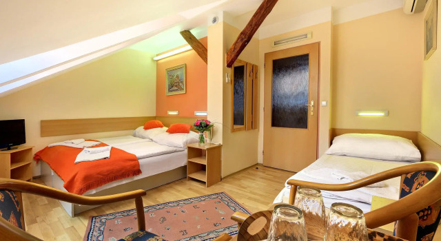 Трёхместный номер Standard Hotel Golden City Garni