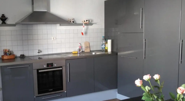 Апартаменты Siegburg Apartments #1